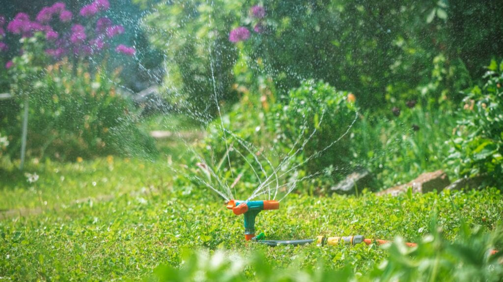 impianti di irrigazione giardino fiumefreddo di sicilia