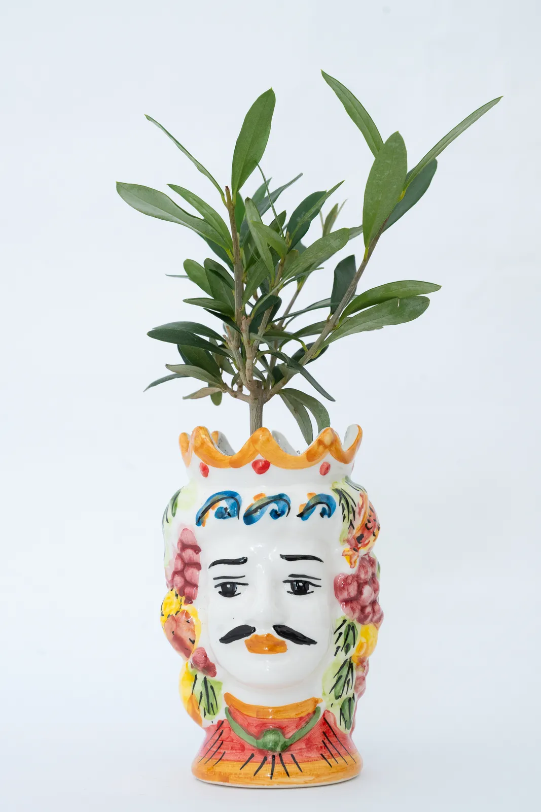 Vaso in ceramica colorata a forma di volto coronato, con una piccola pianta verde che cresce dalla cima. Il vaso presenta baffi e motivi floreali decorativi, su uno sfondo bianco semplice.