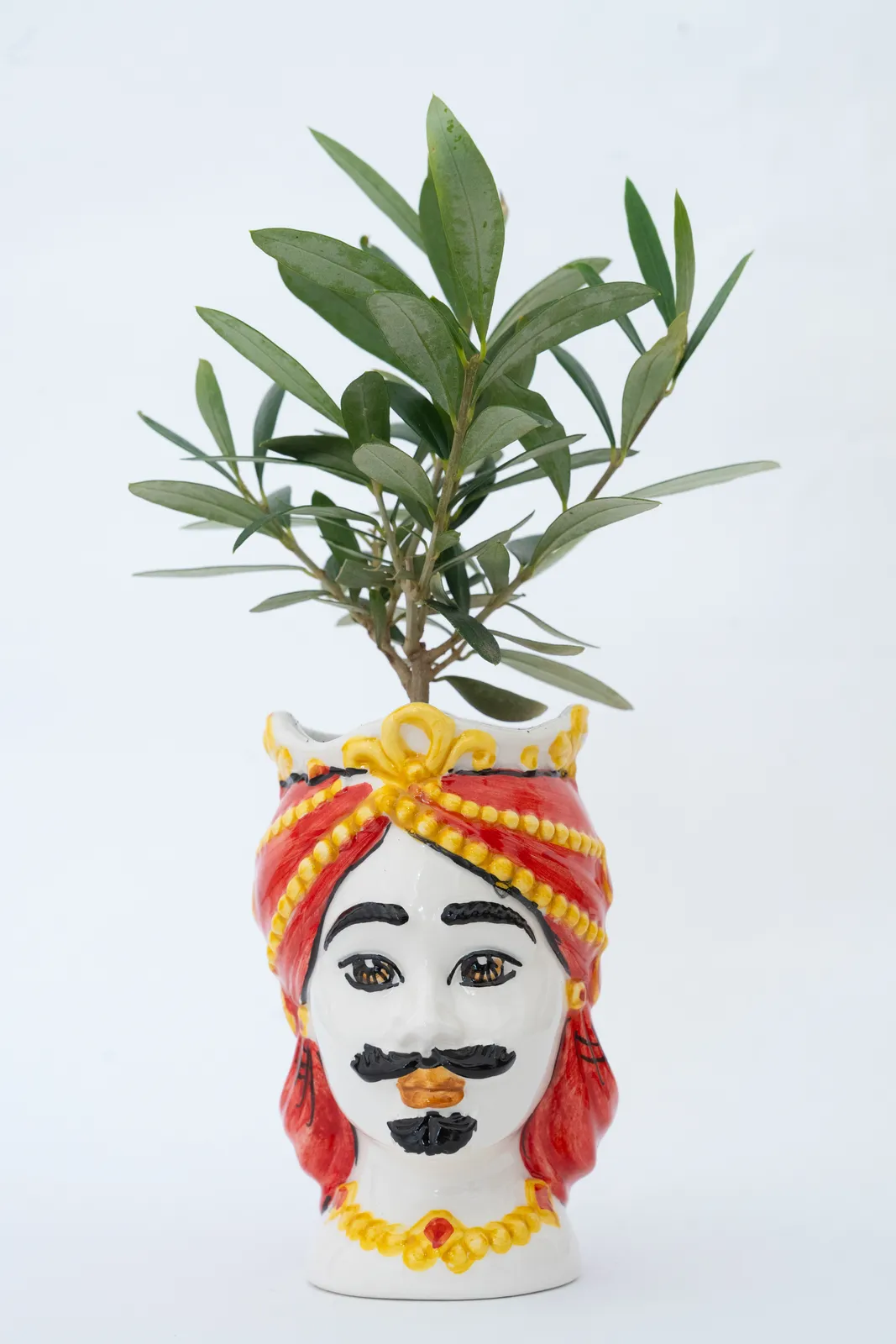 Una piccola pianta cresce in un vaso di ceramica colorato a forma di testa di uomo, decorato con un turbante rosso, baffi e gioielli. Lo sfondo è bianco.