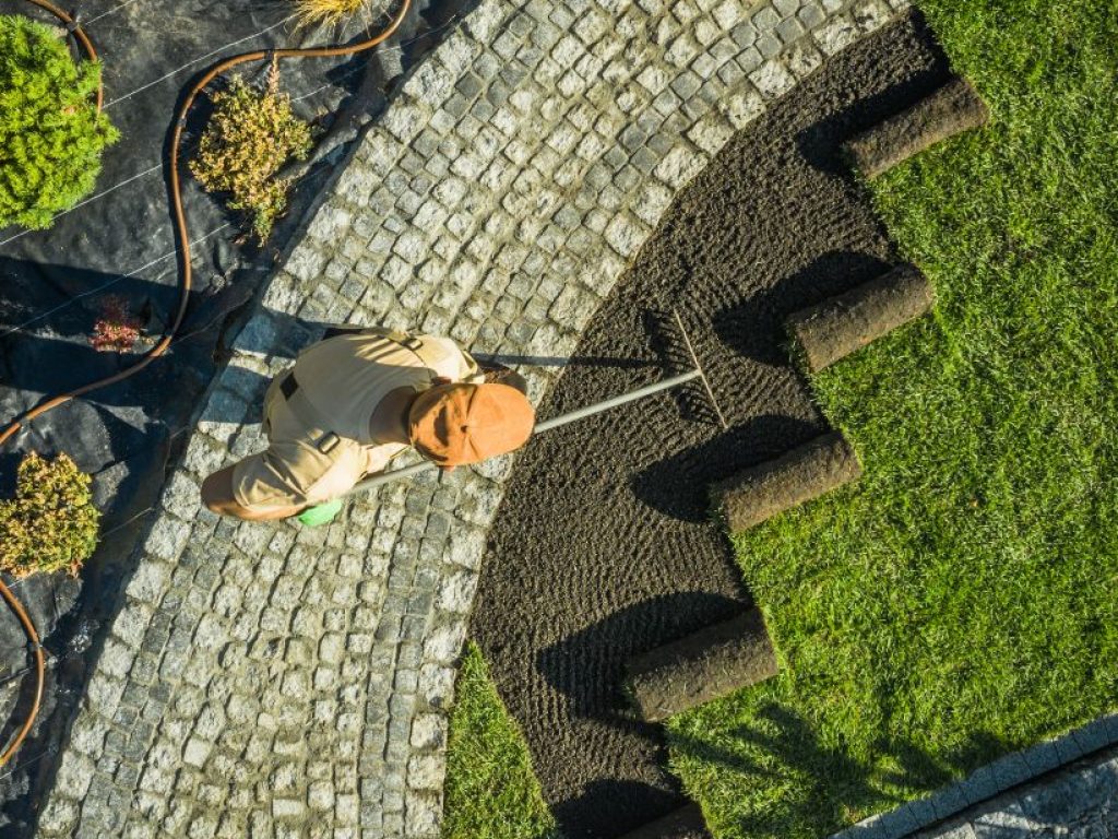 Servizi di giardinaggio a Catania e provincia